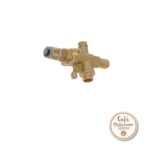 Válvula Agua / Vapor con ventilación RANCILIO